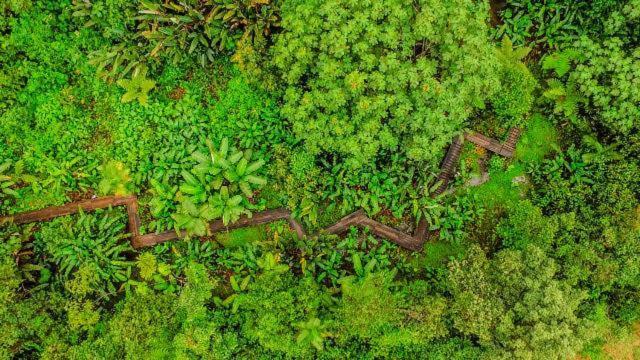 Mindo Garden Lodge And Wildlife Reserve Bagian luar foto