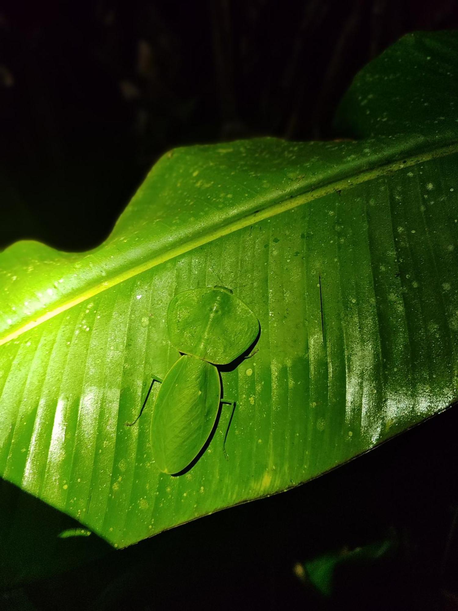 Mindo Garden Lodge And Wildlife Reserve Bagian luar foto