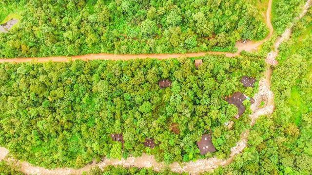 Mindo Garden Lodge And Wildlife Reserve Bagian luar foto