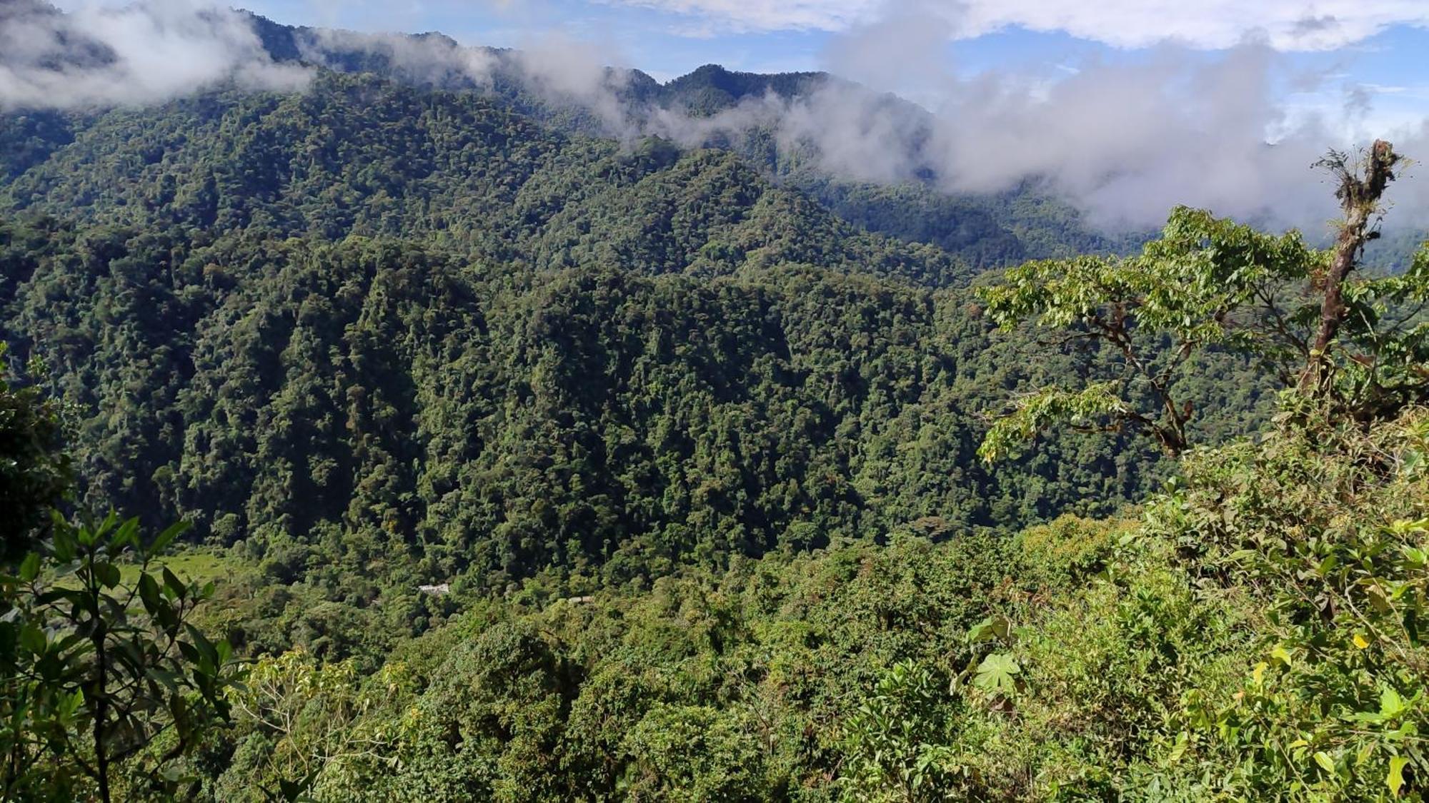 Mindo Garden Lodge And Wildlife Reserve Bagian luar foto
