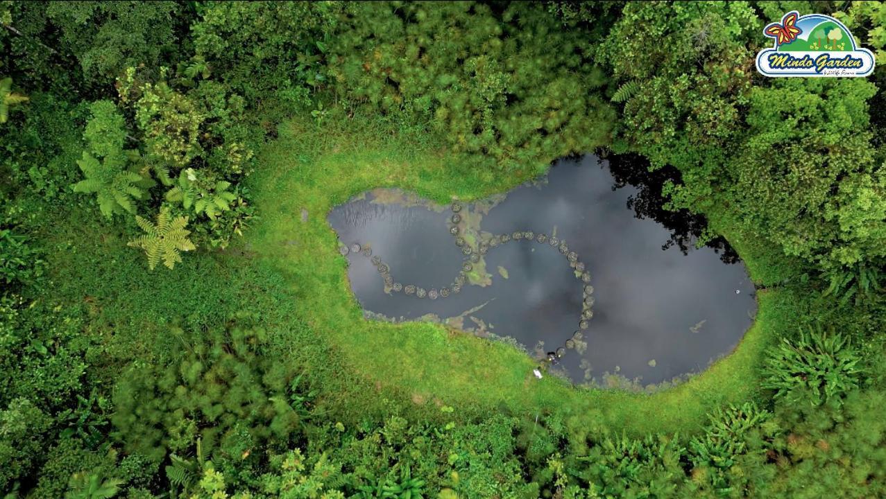 Mindo Garden Lodge And Wildlife Reserve Bagian luar foto