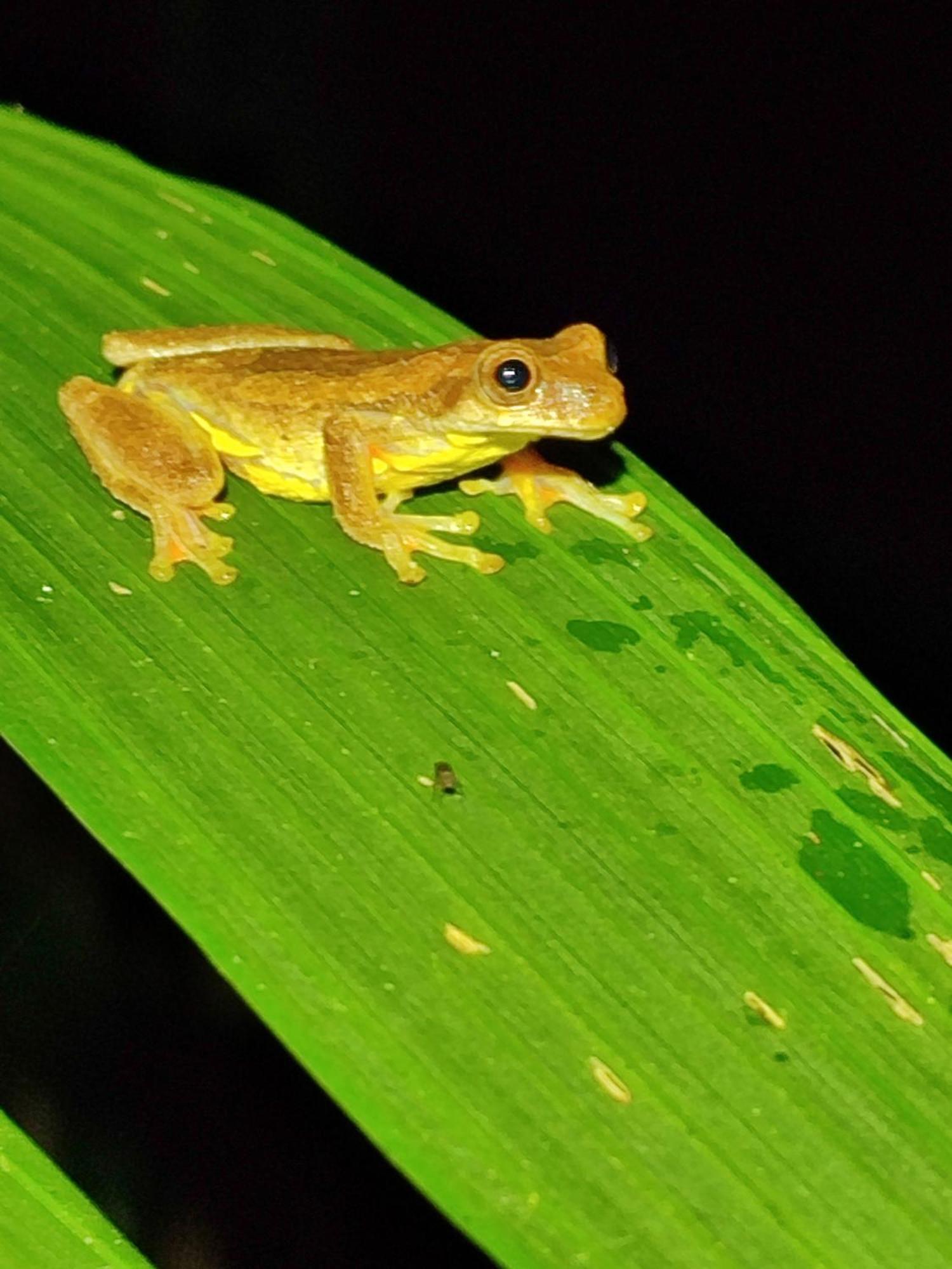 Mindo Garden Lodge And Wildlife Reserve Bagian luar foto