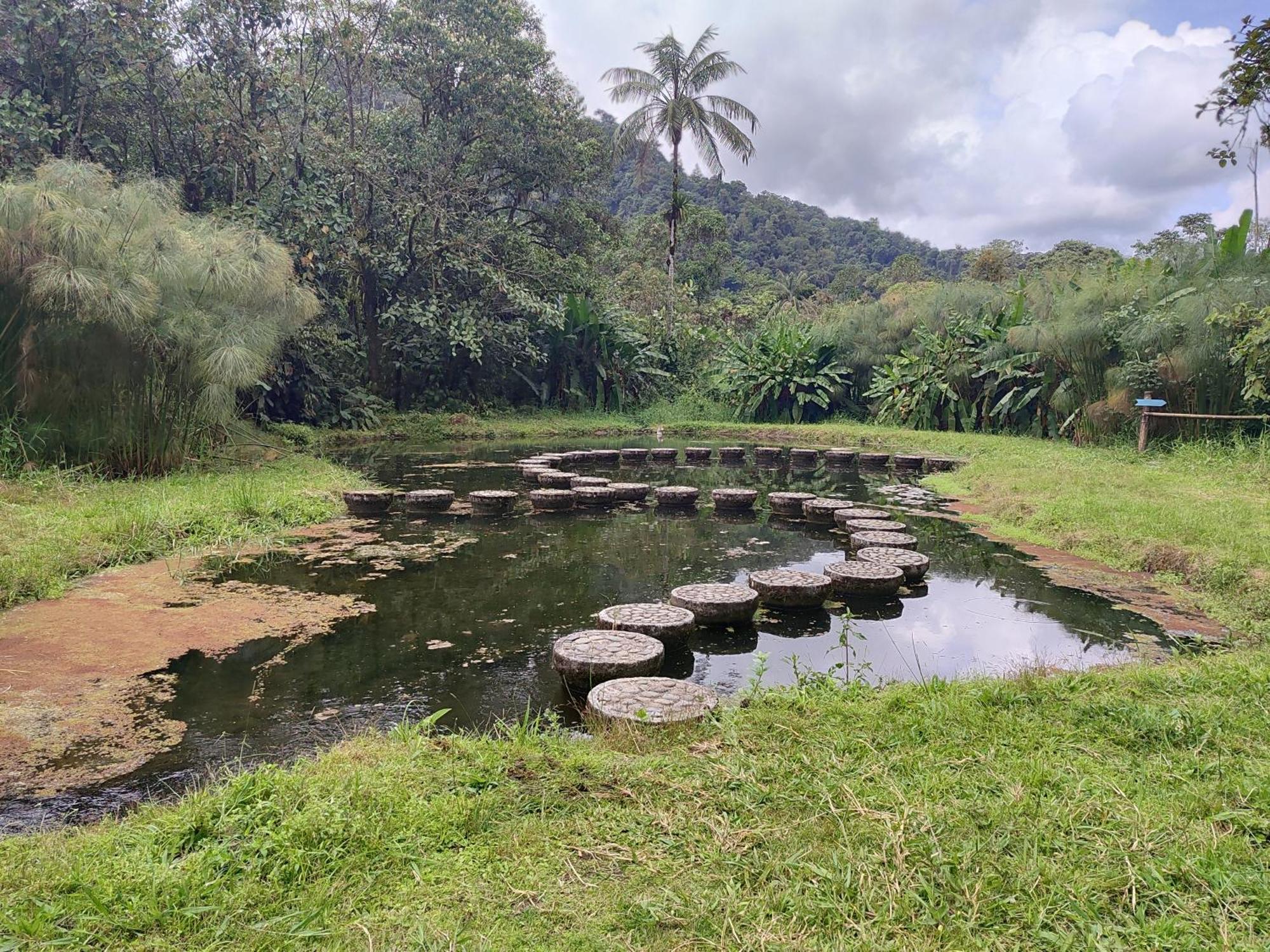 Mindo Garden Lodge And Wildlife Reserve Bagian luar foto