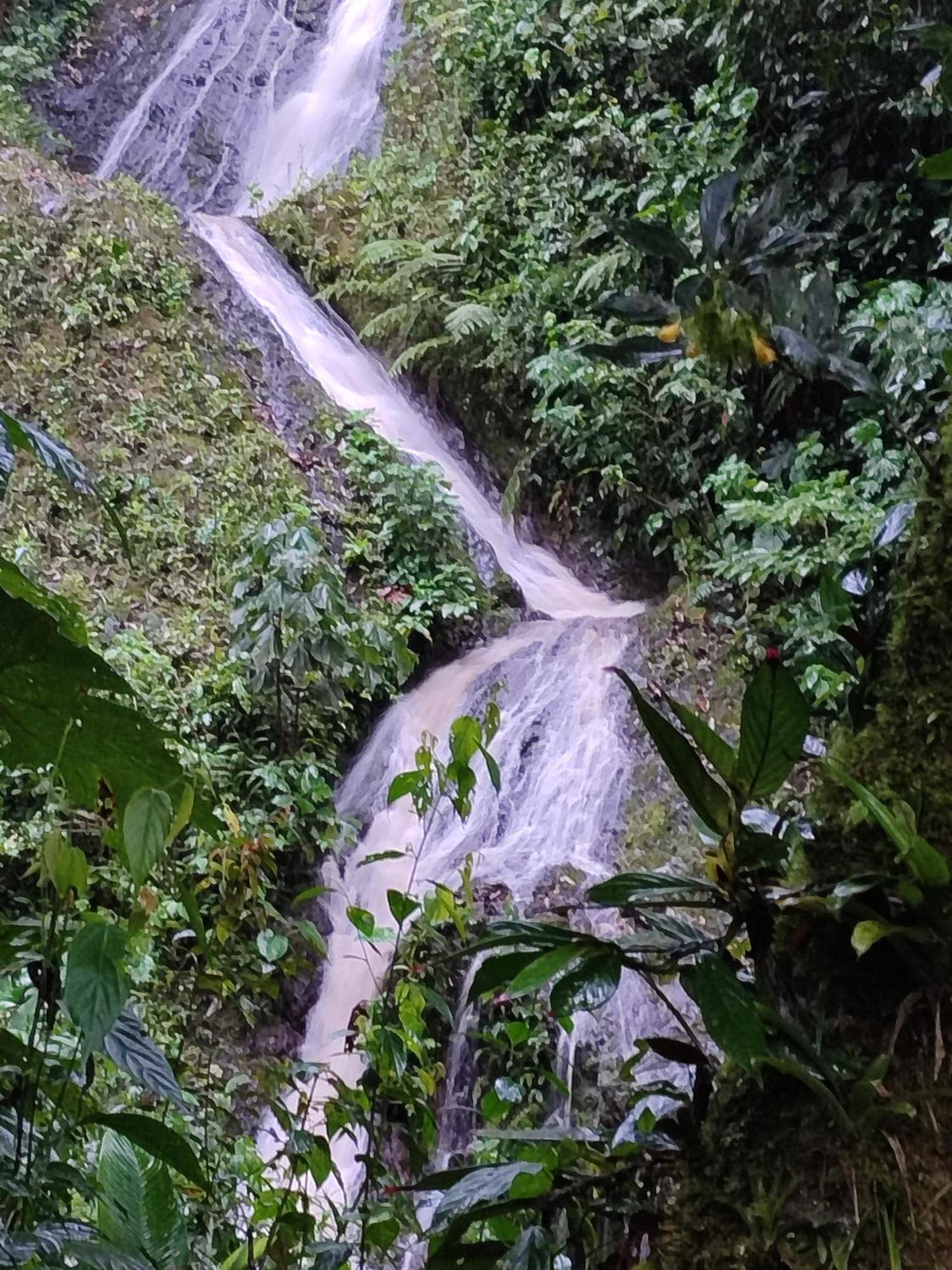 Mindo Garden Lodge And Wildlife Reserve Bagian luar foto