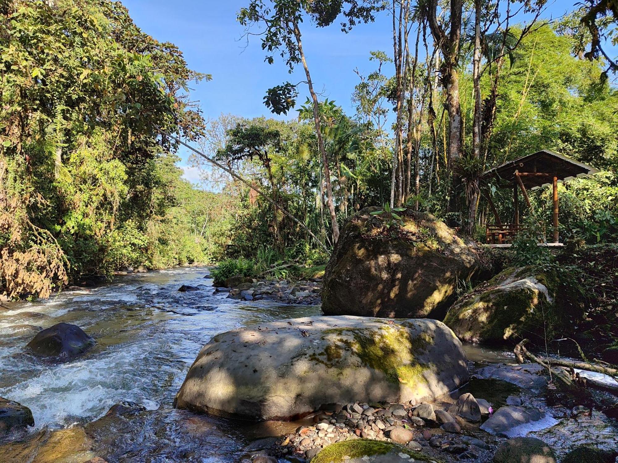 Mindo Garden Lodge And Wildlife Reserve Bagian luar foto
