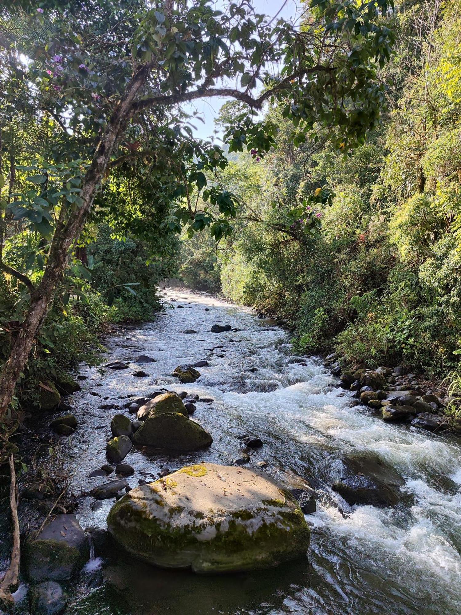 Mindo Garden Lodge And Wildlife Reserve Bagian luar foto