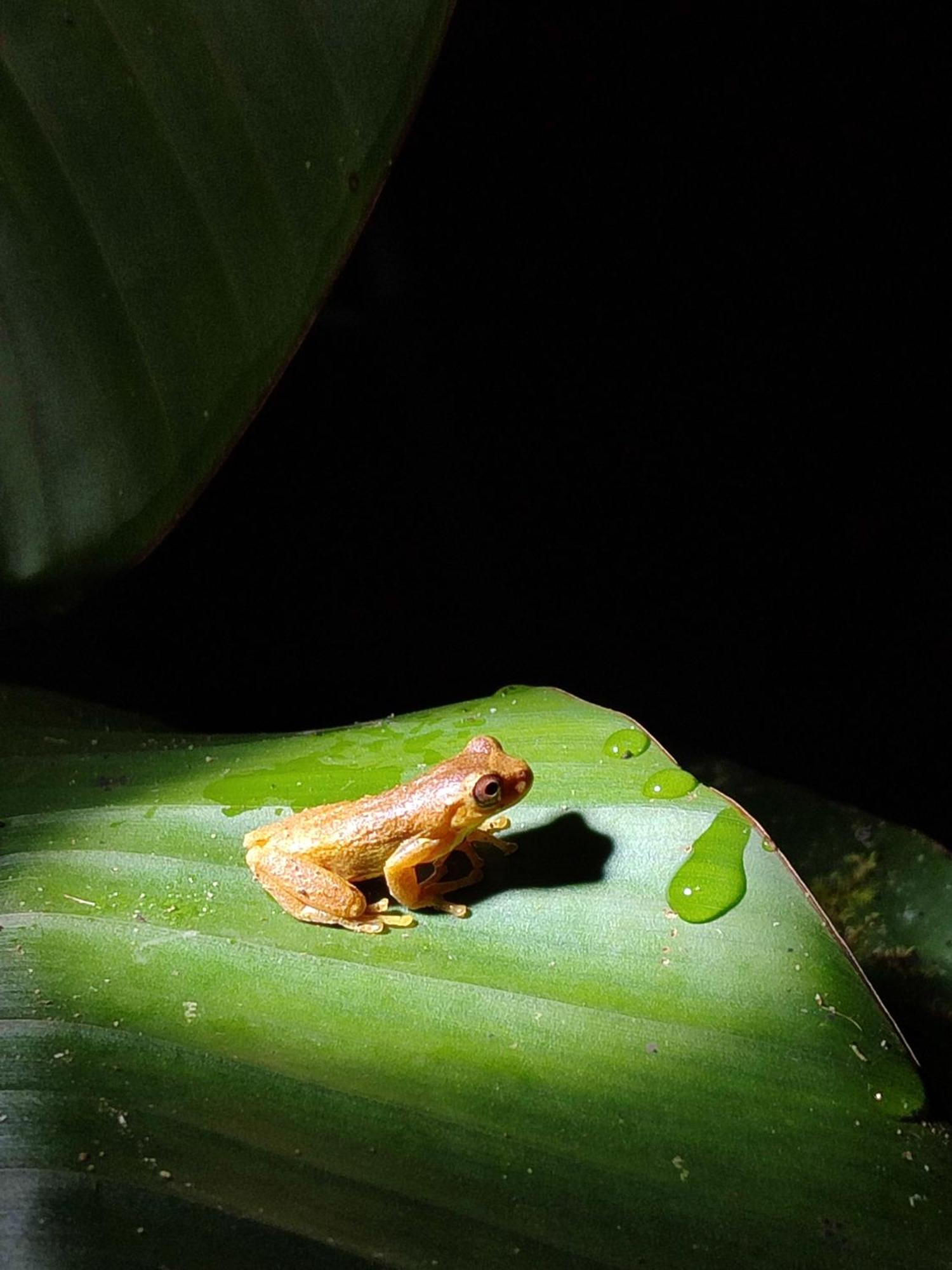 Mindo Garden Lodge And Wildlife Reserve Bagian luar foto