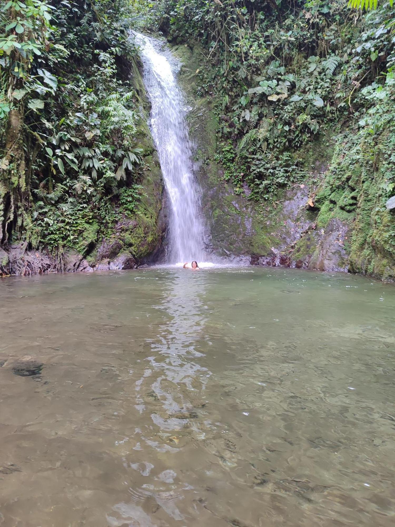 Mindo Garden Lodge And Wildlife Reserve Bagian luar foto