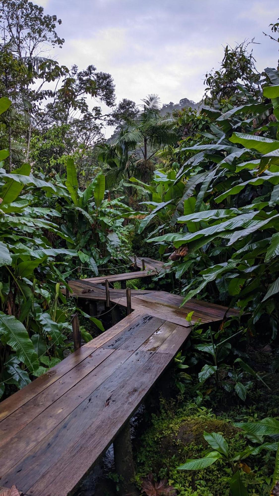 Mindo Garden Lodge And Wildlife Reserve Bagian luar foto